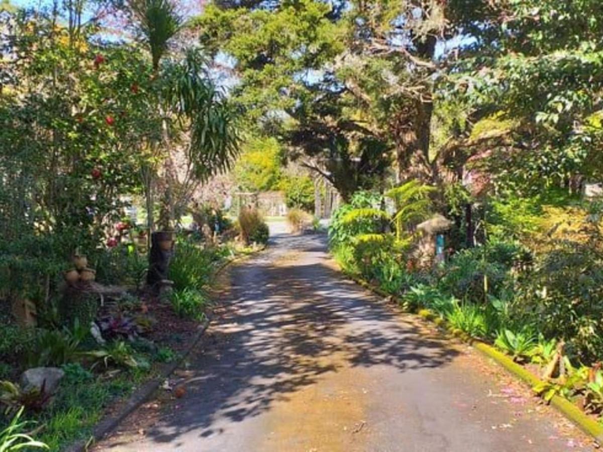 Waimoana Garden Accommodation 旺阿雷 外观 照片